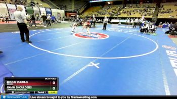 157 Class 4 lbs Quarterfinal - Brock Sundlie, Ozark vs Gavin Shoulders, Lafayette (Wildwood)