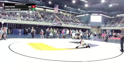 86 lbs Quarterfinal - Gino Hayes, Webster vs Jared Haddock Jr, Ellendale