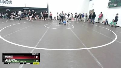 65 lbs Round 3 - Aj Brice, Unaffiliated vs Lilo Gebara, Frontenac Youth Wrestling Club