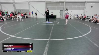 120 lbs Placement Matches (8 Team) - Aidan Hare, Tennessee vs Tyson Roach, Louisiana Red