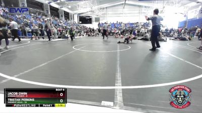 88 lbs Round 3 (4 Team) - Tristan Perkins, Midwest Gold vs Jacob Gwin, Kansas Mayhem