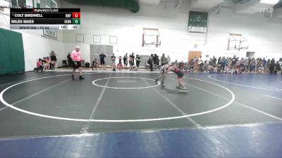 77-84 lbs Quarterfinal - Colt Bridwell, Wentzville Wrestling Federatio vs Miles Maes, Molitium Wrestling Club