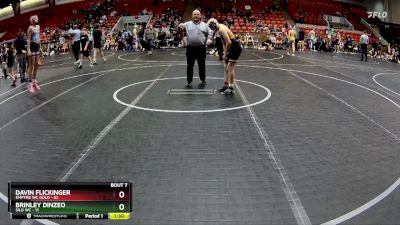 110 lbs Round 2 (8 Team) - Davin Flickinger, Empyre WC Gold vs Brinley Dinzeo, Silo WC