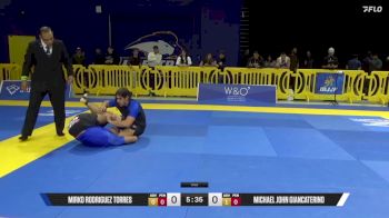 Michael John Giancaterino vs Mirko Rodriguez Torres 2025 Pan IBJJF Jiu-Jitsu No-Gi Championship