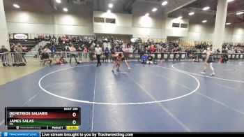 138 lbs Cons. Round 3 - James Salas, MN vs Demetrios Saliaris, MT