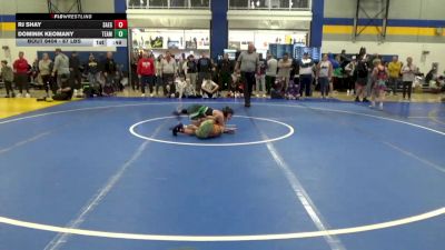 87 lbs Consy 5 - Rj Shay, Saegertown vs Dominik Keomany, Team Donahoe