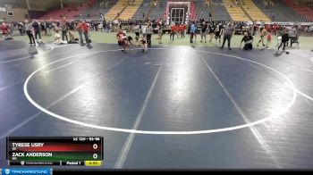 93-96 lbs Round 2 - Zack Anderson, ND vs Tyrese Usry, WI