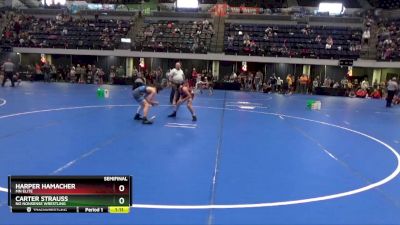 95 lbs Semifinal - Harper Hamacher, MN Elite vs Carter Strauss, No Nonsense Wrestling