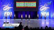 Dance Dynamics - Tiny Elite Small Pom [2025 Tiny - Pom] 2025 NDA All-Star National Championship