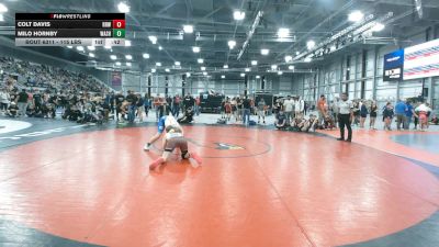 115 lbs Cons. Rd Of 16 - Milo Hornby, Washington vs Colt Davis, Reardan Renegades Wrestling