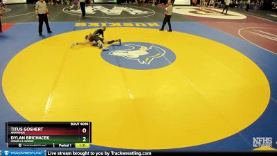 Champ. Round 1 - Titus Goshert, Arapahoe vs Dylan Brichacek, Howells-Dodge