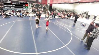 85-90 lbs Round 2 - Bridger Walker, Defiant Wrestling Club vs Camden Colvin, Roy Wrestling Club