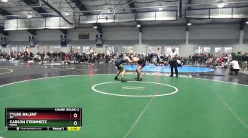 174 lbs Champ. Round 2 - Carson Steinmetz, Tiffin vs Tyler Balent, RIT
