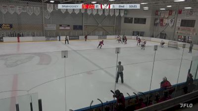 2023 Twin City Thunder vs Jersey Hitmen - Videos - FloHockey