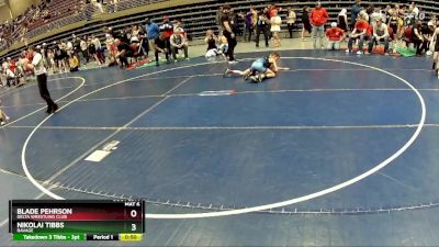 75 lbs Semifinal - Nikolai Tibbs, Ravage vs Blade Pehrson, Delta Wrestling Club