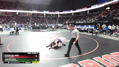 II-118 lbs Cons. Round 2 - Tyson Gillard, Eagle Academy vs Austin Hall, Canisteo-Greenwood