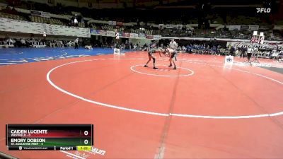 113 lbs Placement (16 Team) - Emory Dobson, St. Augustine Prep vs Caiden Lucente, Westfield