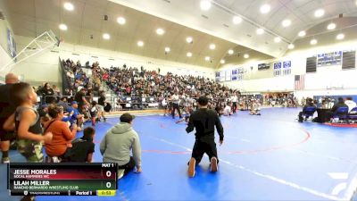 49 lbs Quarterfinal - Jesse Morales, SoCal Hammers WC vs Lilah Miller, Rancho Bernardo Wrestling Club