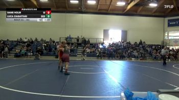 184 lbs Quarterfinal - Luca Ciabattari, Skyline College vs Dane Holm, Victor Valley College