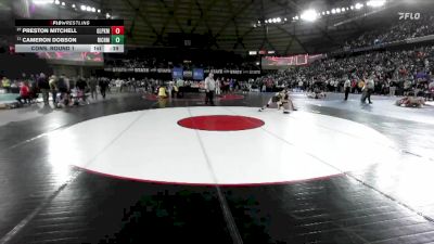 Boys 4A 150 lbs Cons. Round 1 - Cameron Dobson, Richland vs Preston Mitchell, Glacier Peak