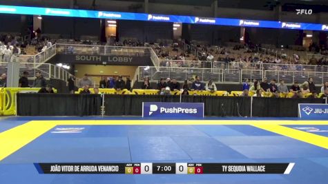 Vinicius Henrique Andrade vs Rafhael Araujo Da Silva 2025 Pan Jiu Jitsu IBJJF Championship