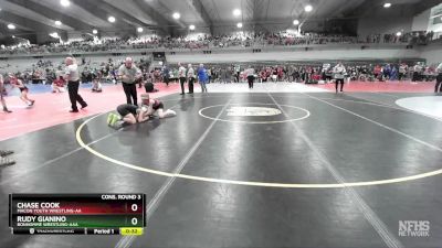 95 lbs Cons. Round 3 - Chase Cook, Macon Youth Wrestling-AA  vs Rudy Gianino, Bonhomme Wrestling-AAA 