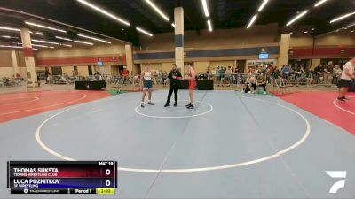 157 lbs Champ. Round 1 - Thomas Suksta, Texans Wrestling Club vs Luca Pozhitkov, 3F Wrestling