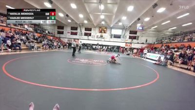 100 lbs Semifinal - Hadlee Messerly, Star Valley vs Natalia Mendoza, Rawlins