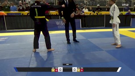 Erick Pereira Sales vs Victor Robert Aronsson 2025 Pan Kids Jiu-Jitsu IBJJF Championship