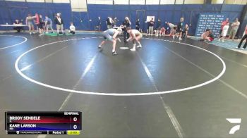 165 lbs Semifinal - Brody Sendele, IL vs Kane Larson, MN