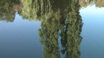 2018 Tour de l'Avenir Stage 6 Highlights