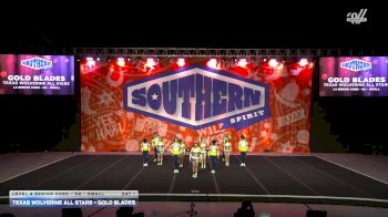 Texas Wolverine All Stars - Gold Blades [2026 L4 Senior Coed - D2 - Small Day 1] 2026 Southern Nationals by Cheer Power
