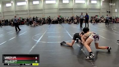 113 lbs Round 2 (6 Team) - Landyn Lioi, Dragonball GT vs Declan Hutt, Dayton Bandits