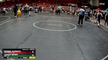 105-110 lbs Round 5 - Carson Seifert, DWA vs Dominic Jacobucci, Lake Catholic