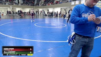 215 lbs Placement (4 Team) - Aiden Krebs, Springfield vs Ella Saewert, NYM (New York Mills)