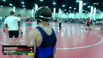 126 lbs Round 6 (16 Team) - Brendan Larson, Team STL White vs Samuel Honzik, Wellington - DEV