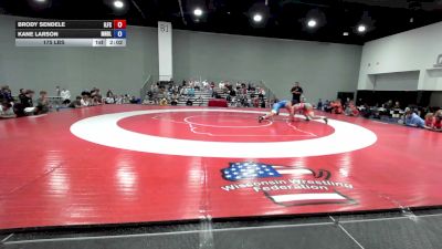 175 lbs Brody Sendele, Illinois Freestyle vs Kane Larson, Minnesota Blue