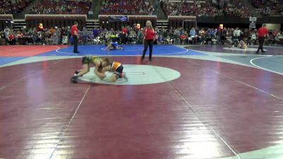 73 lbs Quarterfinal - Peerless Portrey, Big Cat Wrestling vs Andrew Rau, Darkhorse Wrestling Club