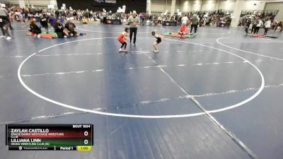 48-52 lbs Cons. Semi - Zaylah Castillo, Gracie Barra Westchase Wrestling Club vs Lilliana Linn, Viking Wrestling Club (IA)