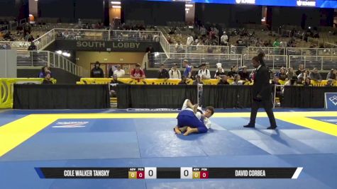 David Corbea vs Cole Walker Tansky 2025 Pan Jiu Jitsu IBJJF Championship