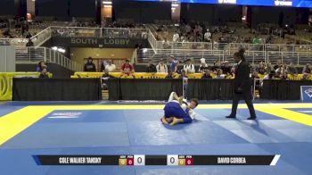 David Corbea vs Cole Walker Tansky 2025 Pan Jiu Jitsu IBJJF Championship