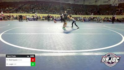 73 lbs Semifinal - Romeo Rodriguez, Woodward Youth Wrestling vs Hunter Lugo, Liberty Warrior Wrestling Club