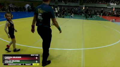 45 lbs Quarterfinal - Carson Krueger, Wabasso vs Collin Krumrei, Grand Rapids