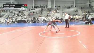 138 lbs Rr Rnd 1 - Gabrian Bridges, GT 4238 - HSB vs Damian Tebano, Hammer Wrestling Club - HSB