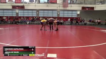 149 lbs Champ. Round 2 - Abdullah Saleh, Hunter vs Vincenzo Napolitana, NYU