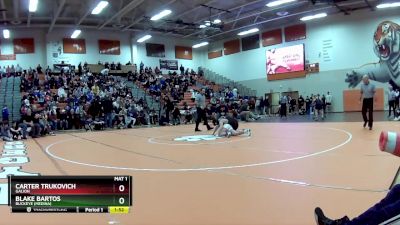 132 lbs 1st Place Match - Blake Bartos, Buckeye (Medina) vs Carter Trukovich, Galion