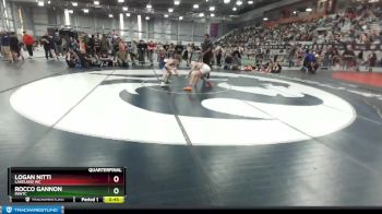 110 lbs Quarterfinal - Rocco Gannon, INWTC vs Logan Nitti, Lakeland WC