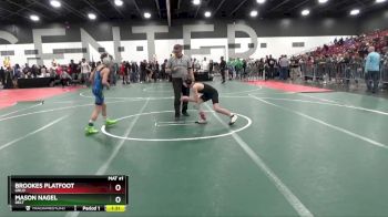 90 lbs Semifinal - Mason Nagel, DELT vs Brookes Platfoot, GRLO