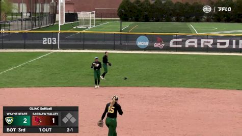 Replay: Saginaw Valley vs Wayne State (MI) - DH - 2024 Wayne State (MI) vs Saginaw Valley | Apr 20 @ 3 PM