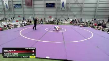 120 lbs Semis & 3rd Wb (16 Team) - Cole Wilson, Virginia vs Vaughn Tarbet, Team Michigan Blue